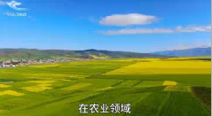 汉中干冰气肥